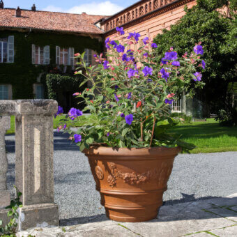 Decorato Festonato Planter