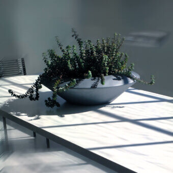 Inorbita Planter