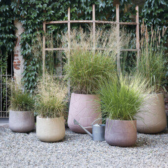 Memory Planter