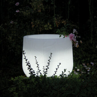 Memory Planter