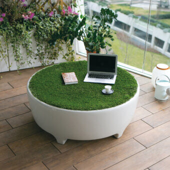 Oasis Coffee Table