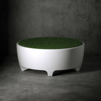 Oasis Coffee Table