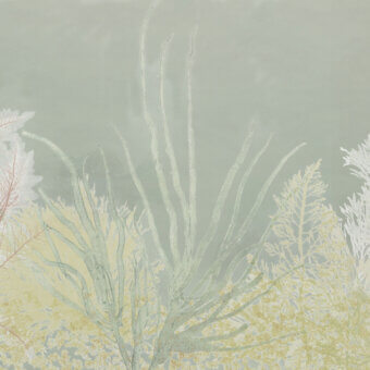 Sophisticated Wall&Decò Algife wallpaper with delicate seaweed and coral silhouettes in muted green and yellow tones with matte finish