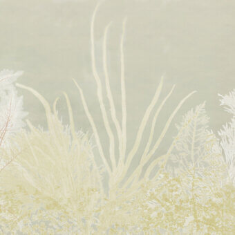 Elegant Wall&Decò Algife wallpaper with seaweed and coral silhouettes printed on water-based resins in cream, beige, and pale green hues