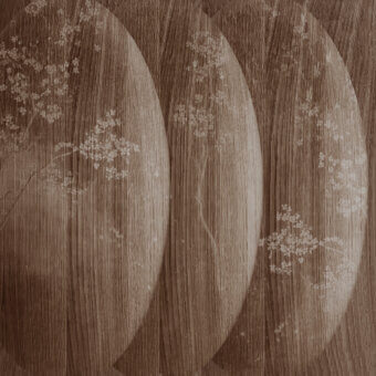 Distinguished Wall&Decò Atmosfere wallpaper with wood-grain effect and delicate floral motifs in sepia and brown tones on organic bio-vinyl