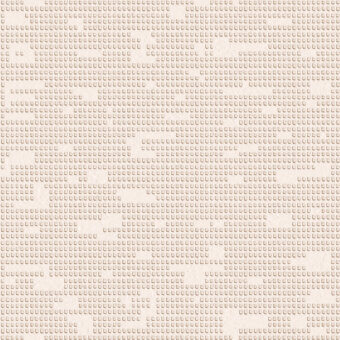 Fossil Wallpaper