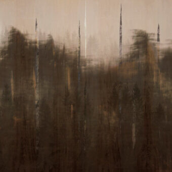 Distinguished Wall&Decò Ghostforrest wallpaper with calming forest imagery in muted brown and gray tones and d.TW finish