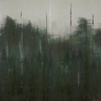 Superior Wall&Decò Ghostforrest wallpaper with abstracted forest scenes in desaturated greens and grays on organic bio-vinyl with a d.TW finish