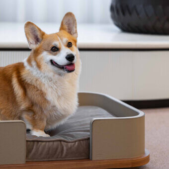 Kumo Pet Bed