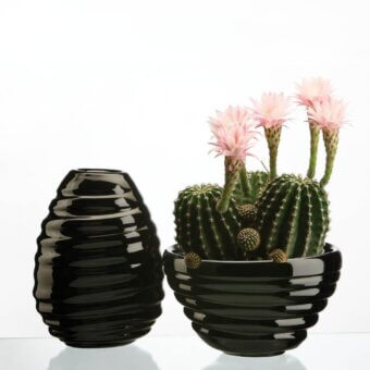 Spira Vase & Centerpiece Set