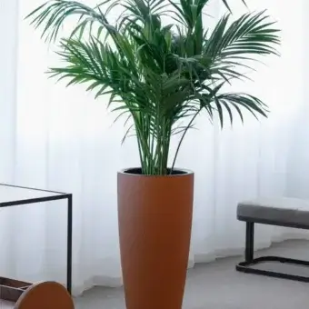 Silvy Plant Pot