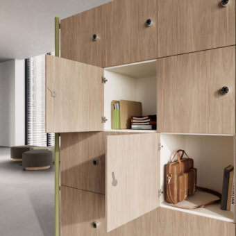 Codutti 2BE Office Lockers